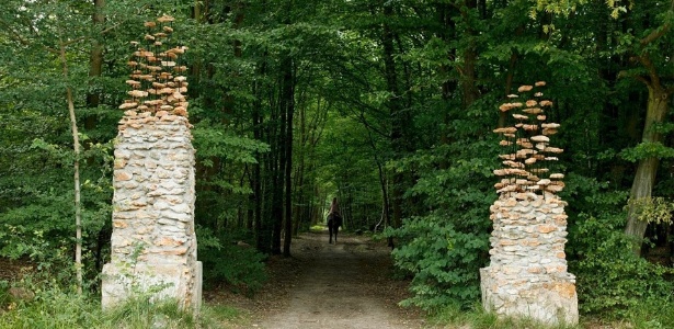 Reprodução/Cokonrads