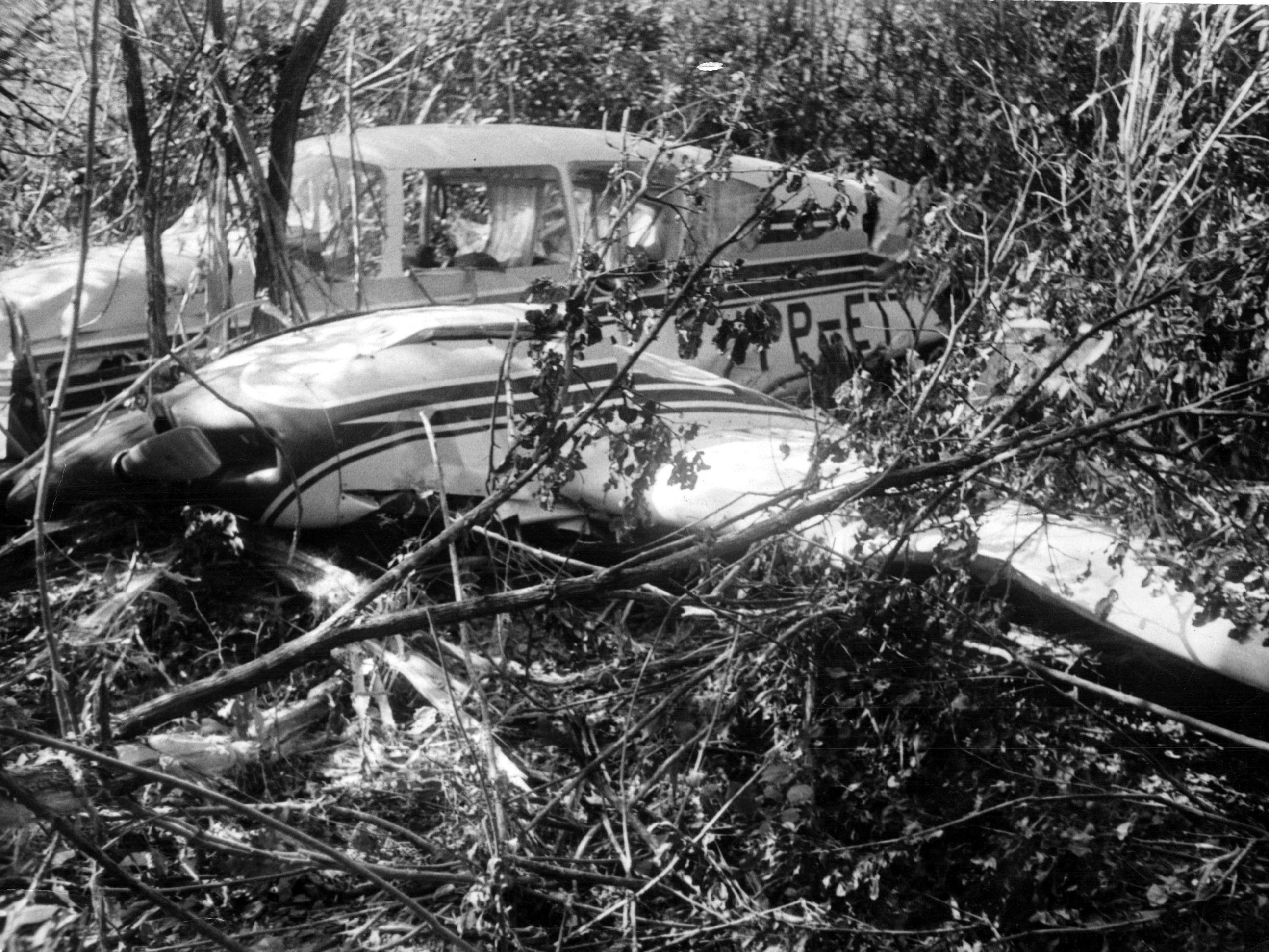 Temperaturas altas provocam a morte de cavalo que transportava