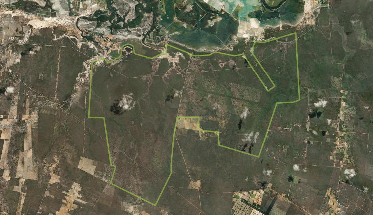 Área do projeto da Fazenda São Pedro, adquirido por empresa ligada a Daniel Vorcaro