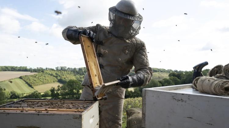 Jason Statham faz seu trabalho em 'Beekeeper'