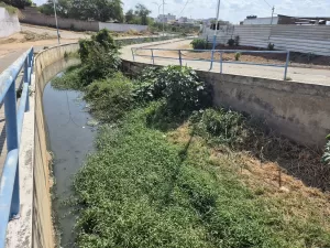 Com fartura de emendas, terra de Motta tem muito asfalto e pouco esgoto