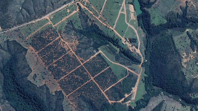 Foto do terreno em Jequitib (MG), que a Viking vendeu por R$ 57 milhes, em 2017