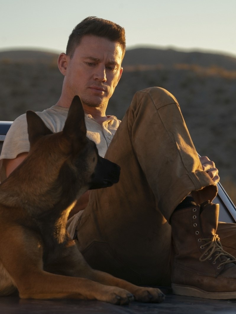 'Dog', com Channing Tatum, mostra por que o cachorro é a melhor pessoa -  20052022 - UOL Splash