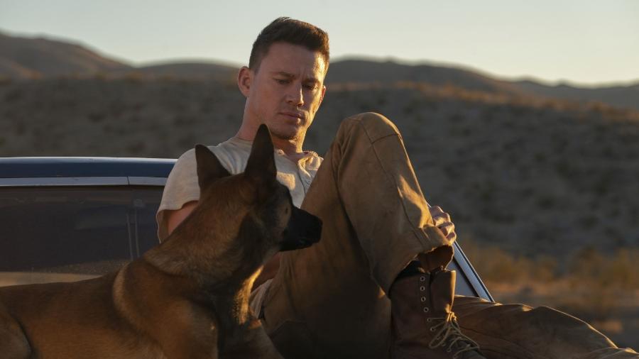 Channing Tatum bem acompanhado em "Dog - A Aventura de Uma Vida" - Diamond
