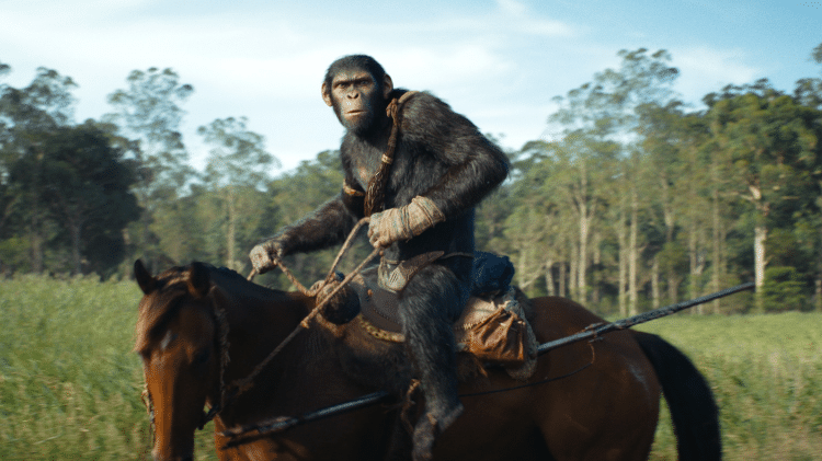 Owen Teague como Noa em 'Planeta dos Macacos - O Reinado'