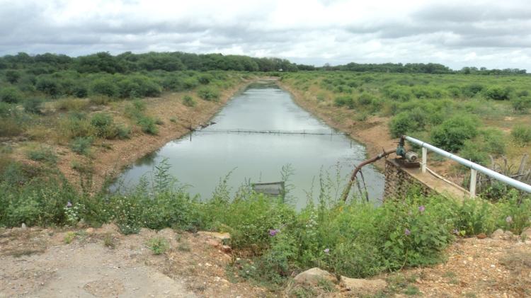 Sistema Itaparica de fornecimento de água para agricultura familiar, às margens do rio Francisco