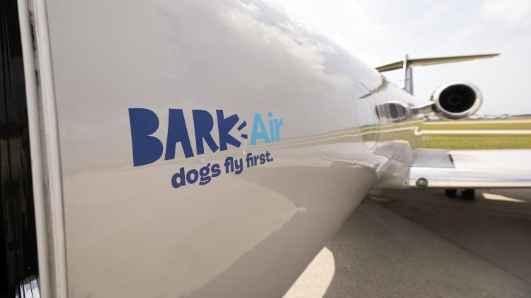 Avião da Bark Air, empresa que oferece voos VIPs para cachorros