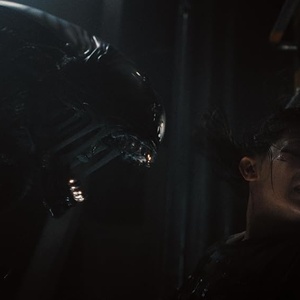 'Alien: Romulus'