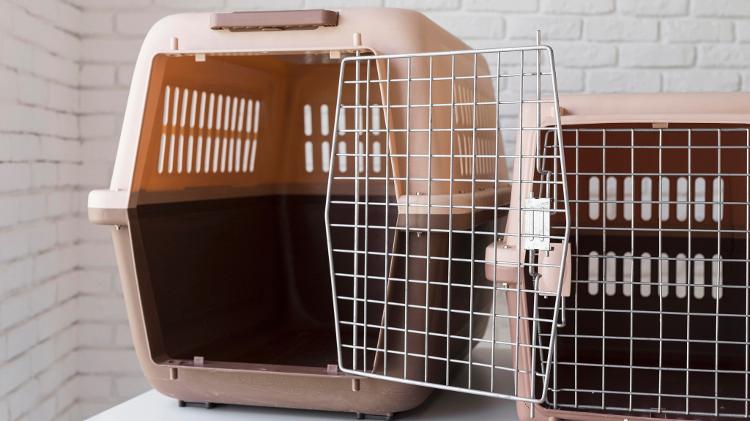 Caixa de transporte de animais, também chamada de kennel: Seu uso é obrigatório em voos