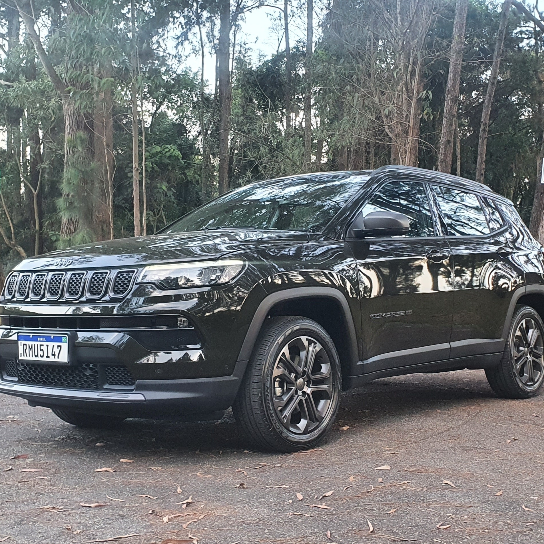 Carros na Web, Jeep Compass