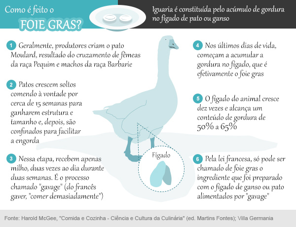 O que é foie gras? Como é feito e porque é tão polêmico