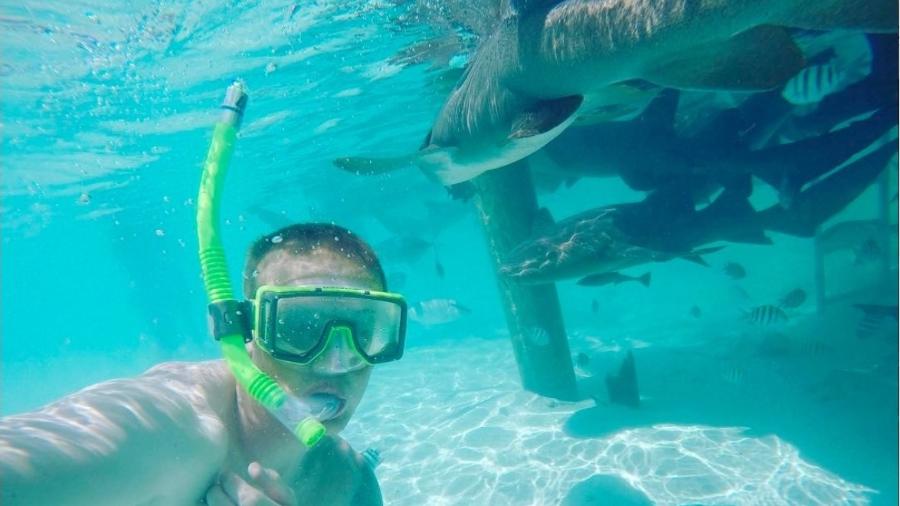Goleiro da Inglaterra mergulha com tubarões no Caribe - Reprodução Instagram