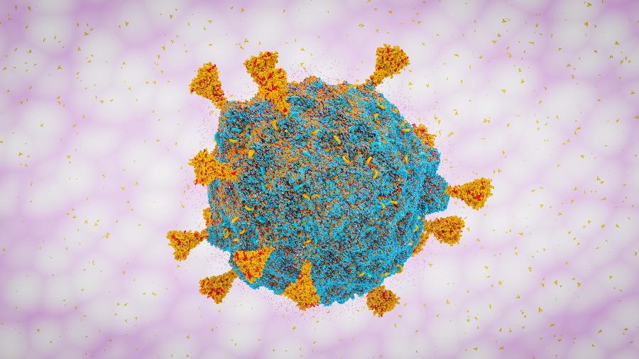 A OMS informou hoje que estudos preliminares sugerem que a variante ômicron do coronavírus pode reduzir a atividade neutralizante de anticorpos produzidos por imunidade natural - iStock