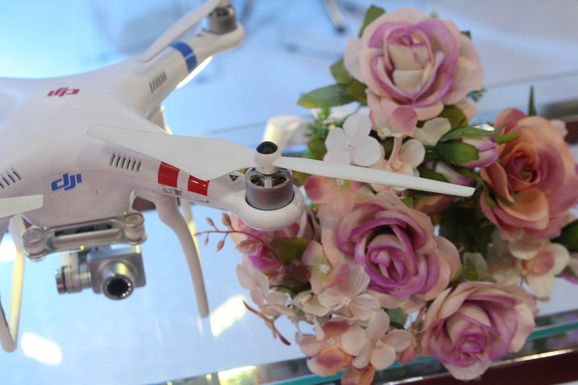 Expo Noivas - Junior Lago/UOL