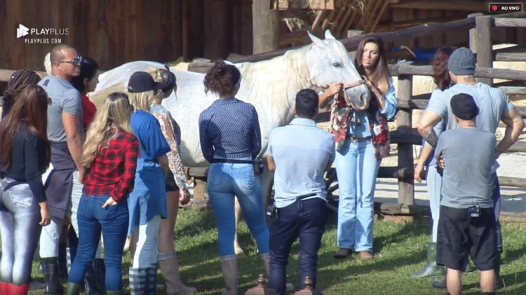 Peões aprendem a cuidar da égua - Reprodução/RecordTV - Reprodução/RecordTV