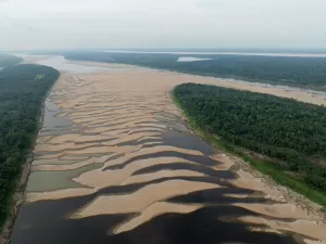 Para o agro, 2024 foi ano de seca recorde, conta de luz mais alta e perdas