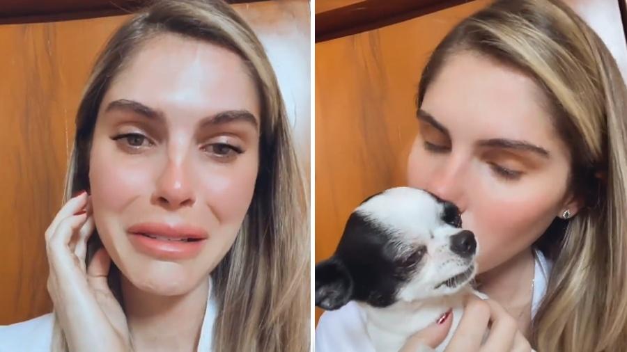 Bárbara Evans e o cachorrinho Enrico - Reprodução/Instagram