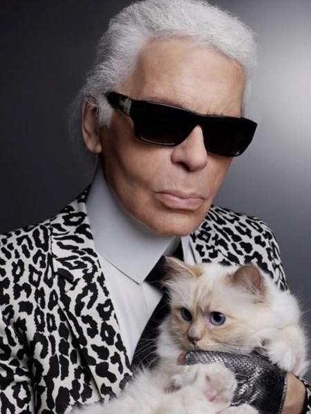 Karl tinha uma relação muito próxima com a sua gata Choupette - Reprodução/Instagram