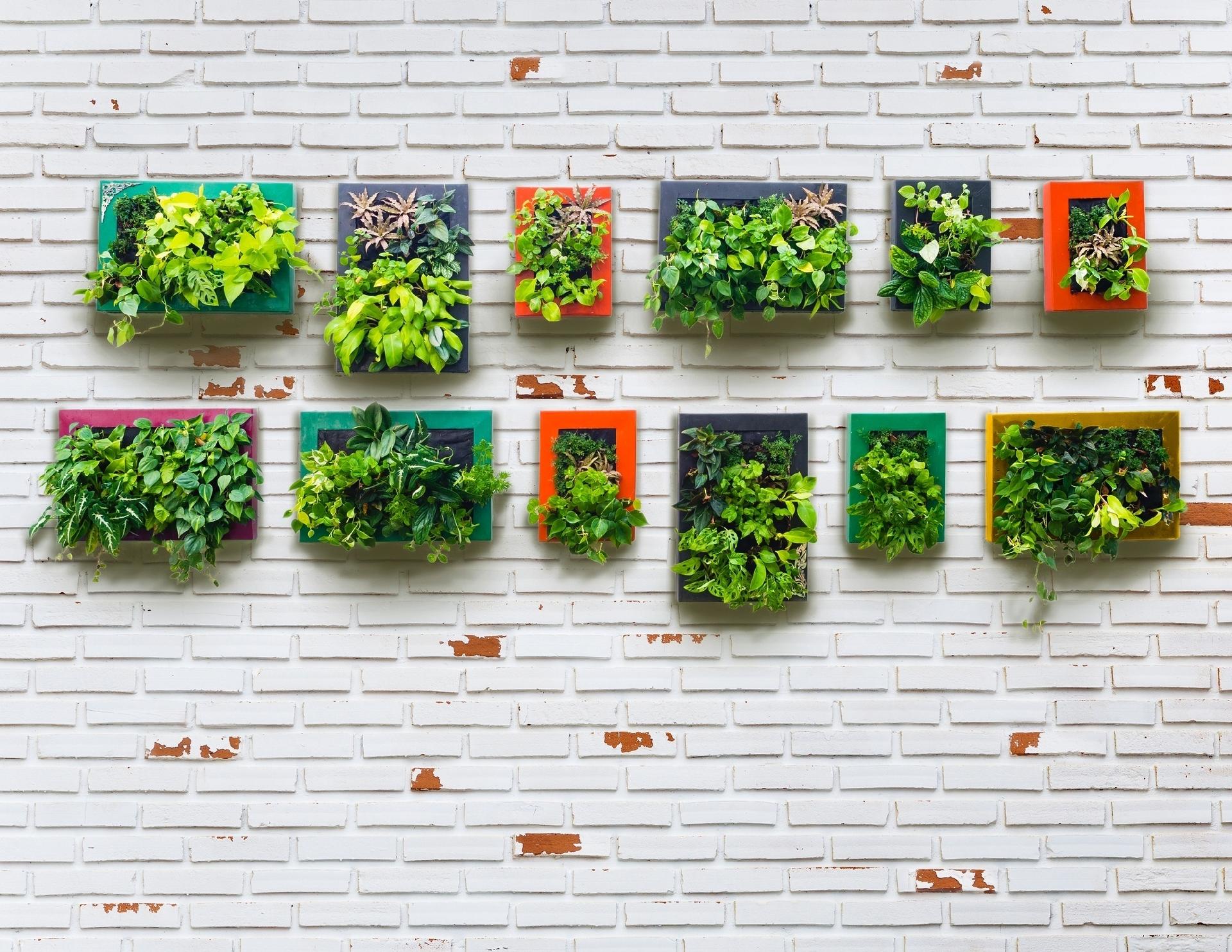 Jardim vertical: veja dicas e inspirações para ter o seu em casa -  04/04/2020 - UOL Nossa