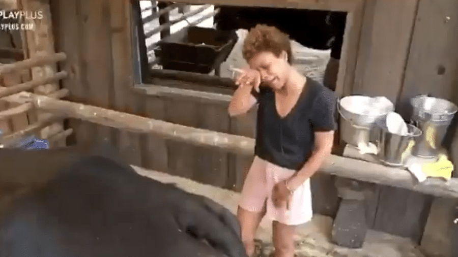 A Fazenda 2020: Lidi Lisboa chora ao tirar leite de vaca por ser vegana - reprodução/Record TV