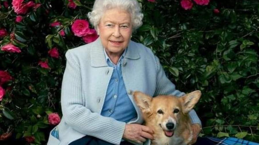 Rainha Elizabeth 2ª com seu cão corgi - Reprodução