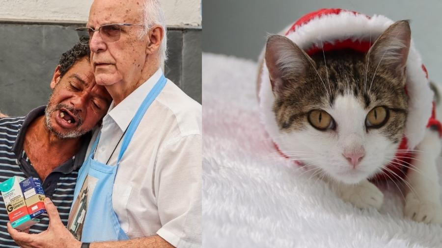 Saiba como ajudar de idosos a gatinhos neste Natal.