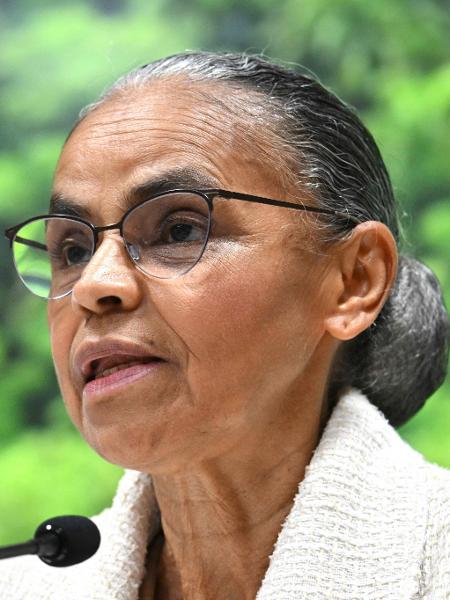 A ministra do Meio Ambiente, Marina Silva A ministra do Meio Ambiente, Marina Silva