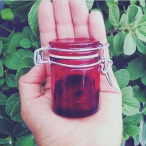 Bianca Bin compartilhou postagens que descrevem o ritual "Plante sua Lua" - reprodução/Instagram - reprodução/Instagram