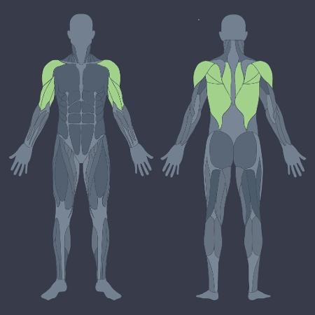 músculos trabalhados pulley costas - iStock/ Arte UOL - iStock/ Arte UOL