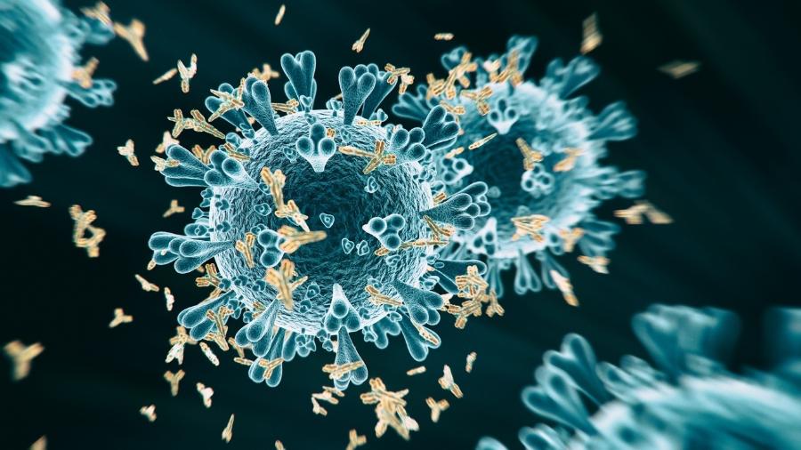 A organização atribuiu o aumento de casos de coronavírus no país à variante delta - iStock