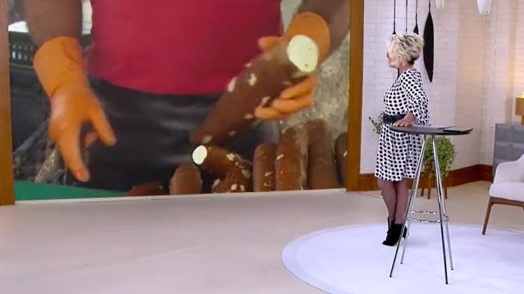 Ana Maria Braga - Reprodução/TV Globo - Reprodução/TV Globo