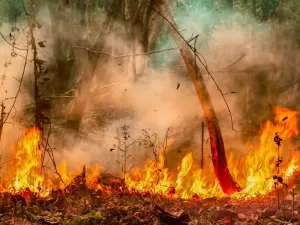 Autoridade Climática é fonte de divergências públicas no governo