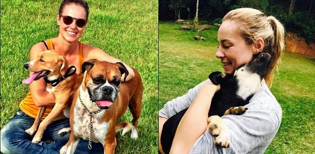 Paolla Oliveira com seus companheiros: Chopp, Adja e Pernalonga - Reprodução/Instagram - Reprodução/Instagram