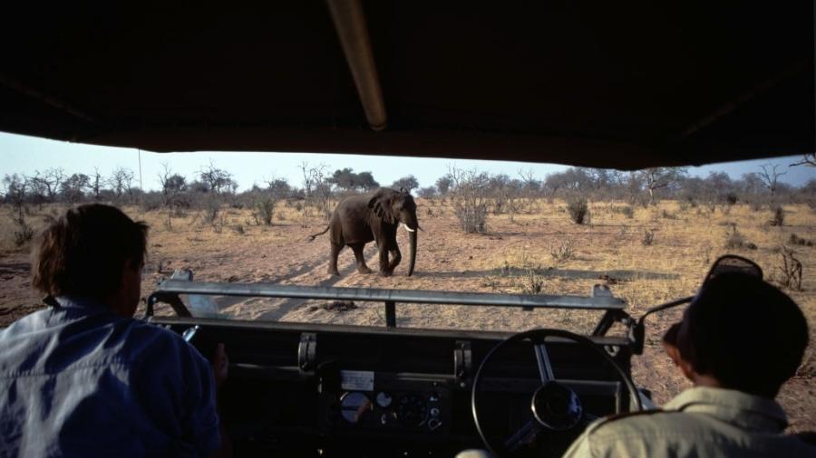 Turistas observando os elefantes no Parque Nacional Hwange, maior reserva do Zimbábue - Francois LOCHON/Gamma-Rapho via Getty Images