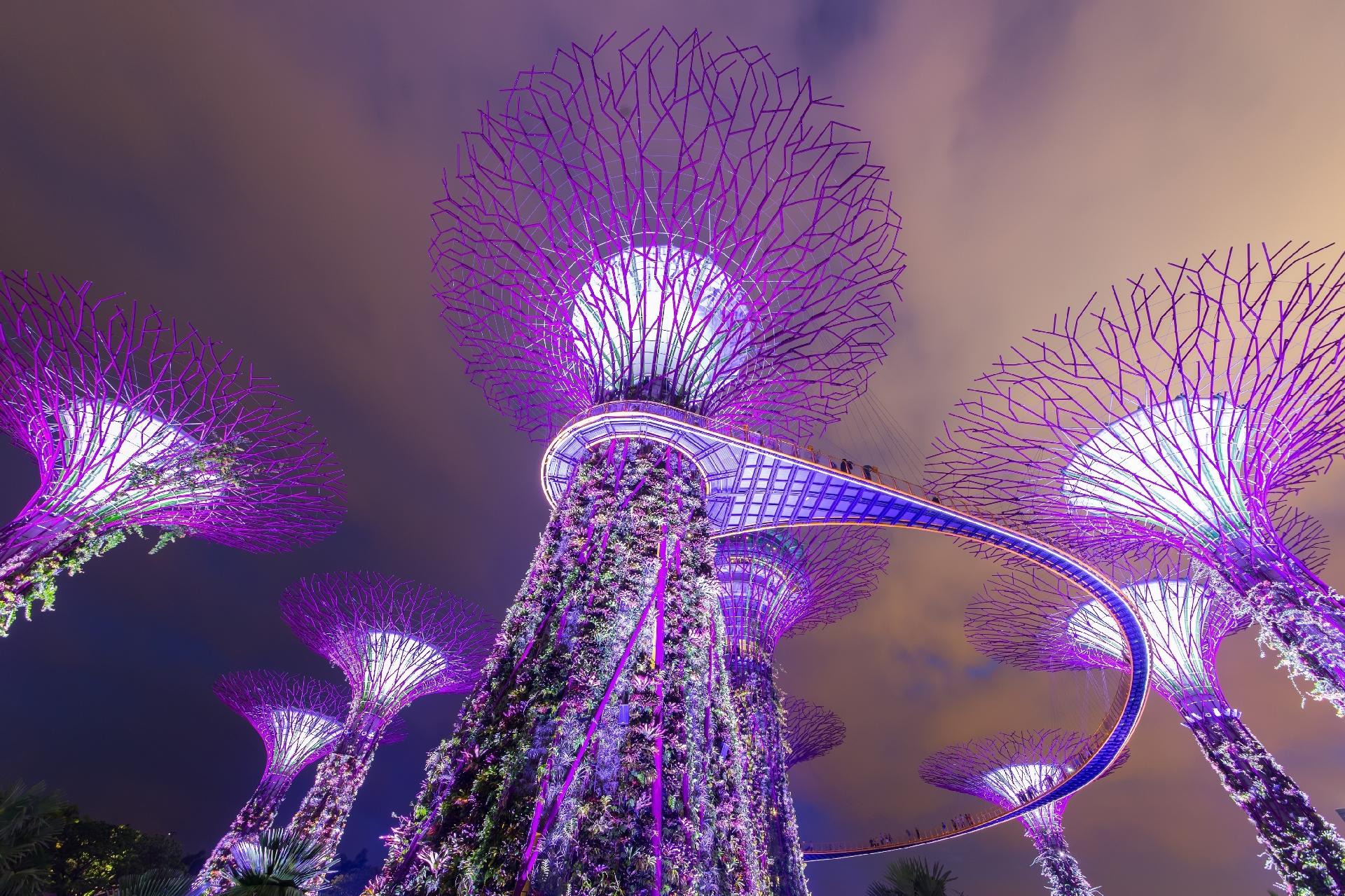 Destinos ultravioleta - Grove Supertree, Gardens by the Bay, Cingapura - Divulgação/Skyscanner