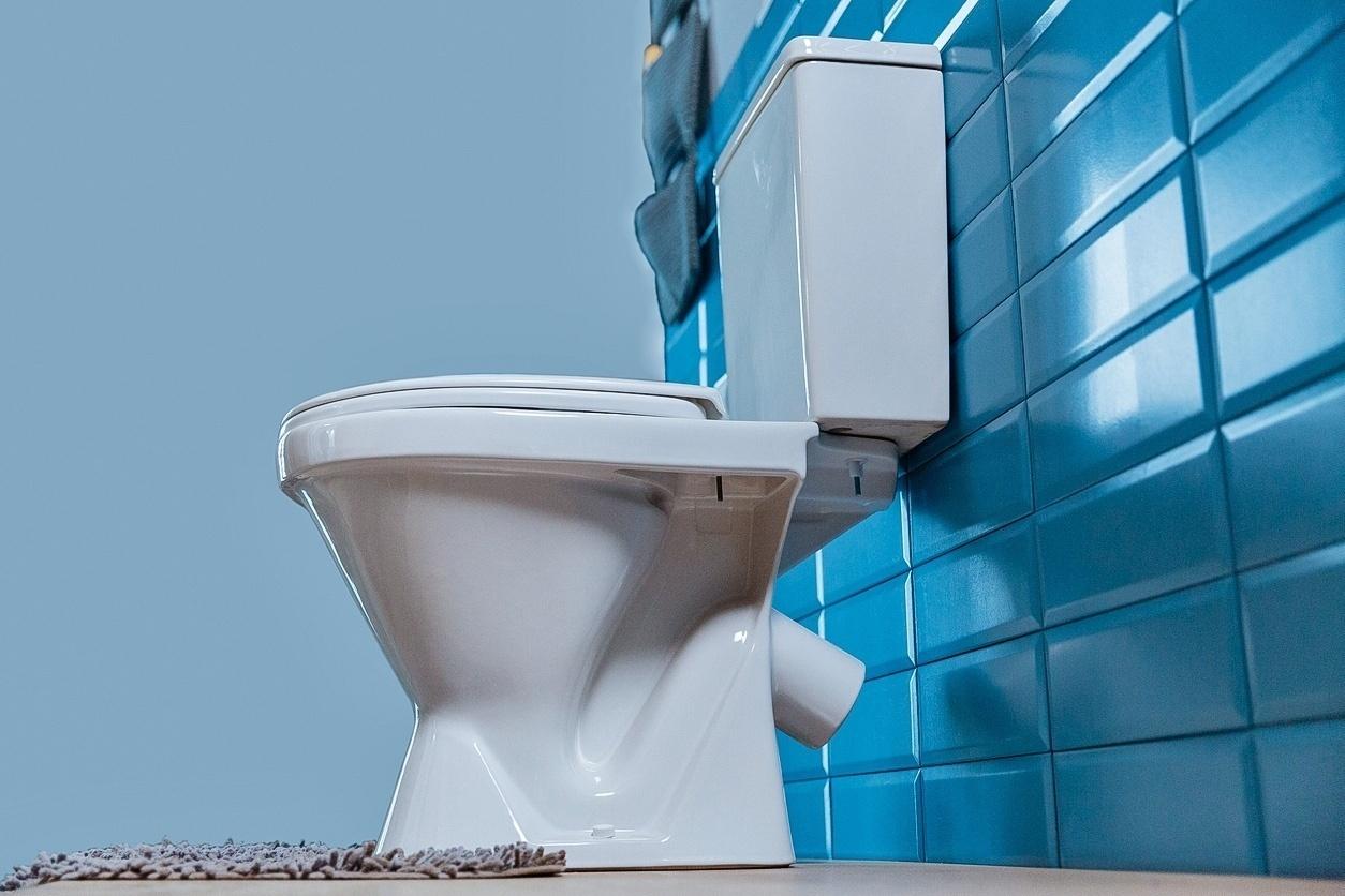 vaso sanitário, privada, banheiro - iStock