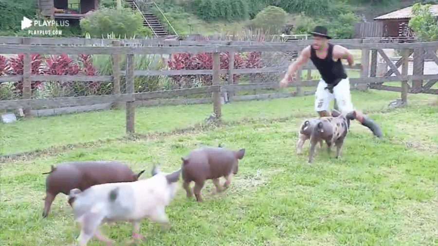 Lucas corre dos porcos durante trato dos animais - Reprodução/PlayPlus