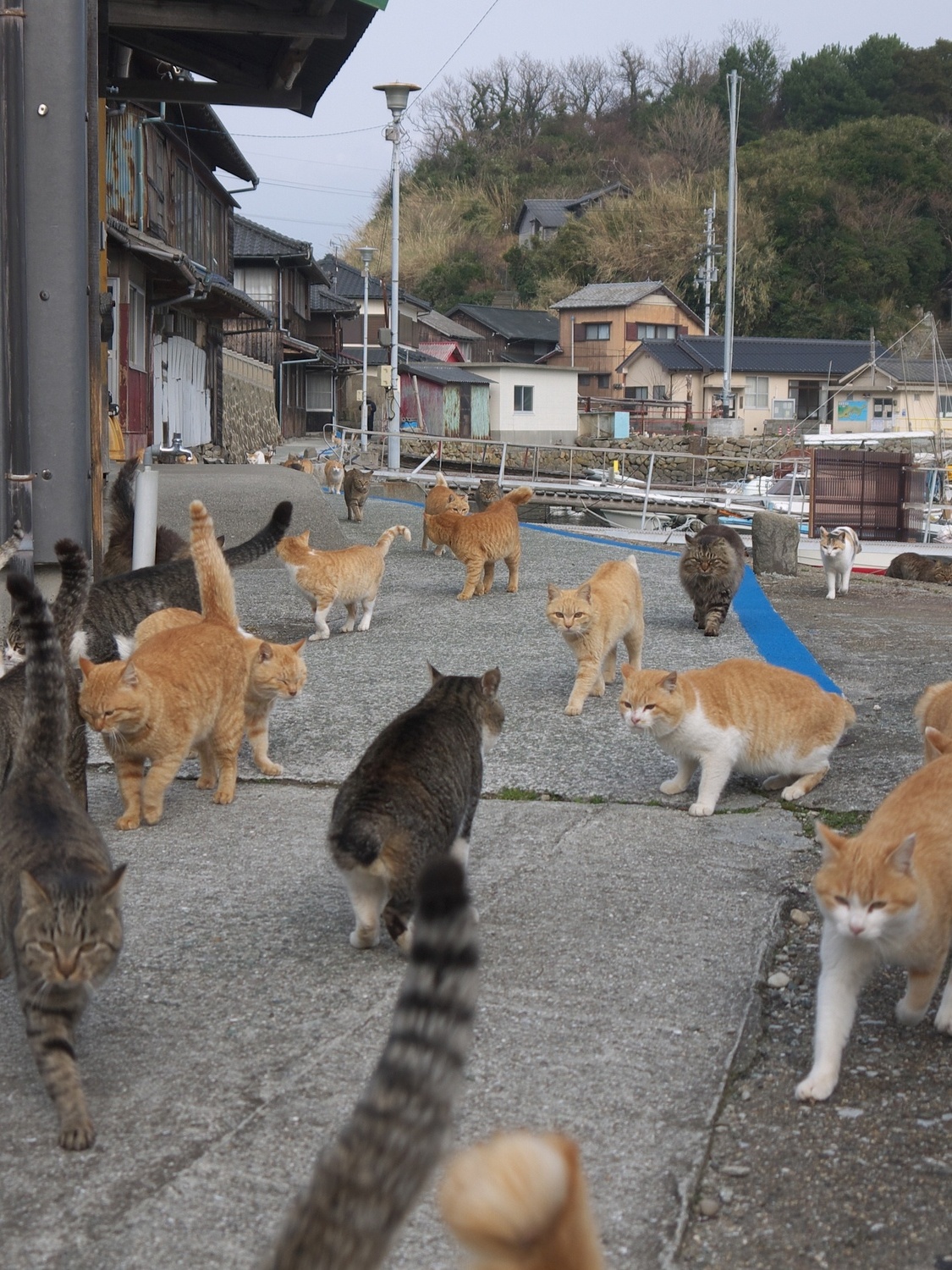 Inari Ōkami: A Divindade da Prosperidade no Japão