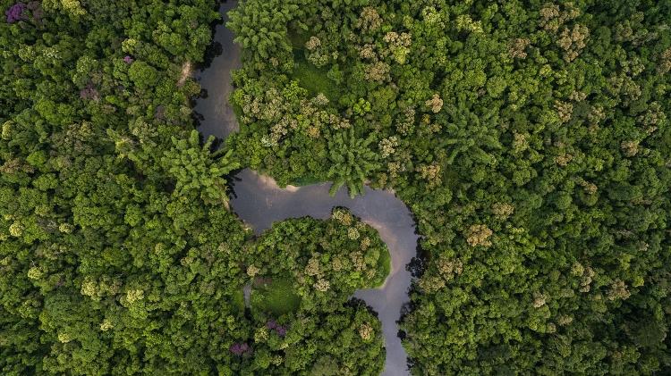 amazônia - iStock - iStock