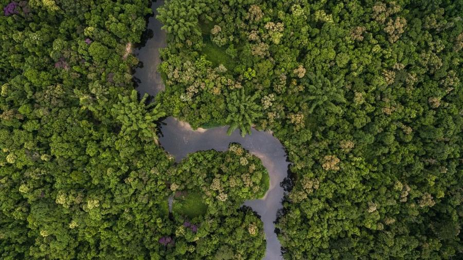 Vista aérea da Amazônia: terra comprada por grupo europeu é maior que a cidade de São Paulo - iStock