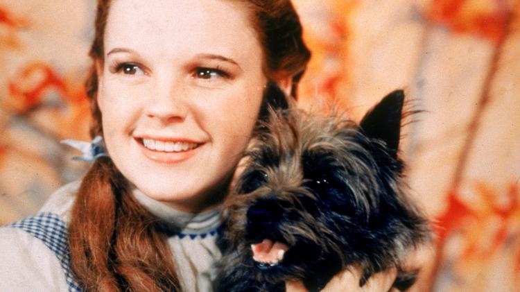 Dorothy (Judy Garland) em 'O Mágico de Oz' Dorothy (Judy Garland) em 'O Mágico de Oz'