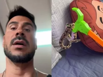 Júlio Rocha se assusta ao encontrar cobra na cama dos filhos: 'Quinta vez'