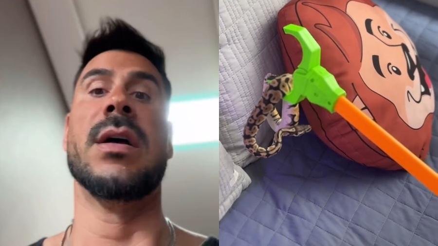 Ator Júlio Rocha encontra cobra na cama dos filhos