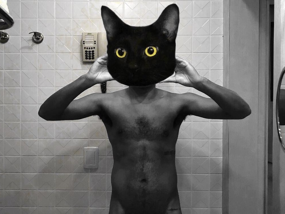 Sexta-feira 13  Os gatos pretos mais ICÔNICOS da Cultura Pop - CinePOP
