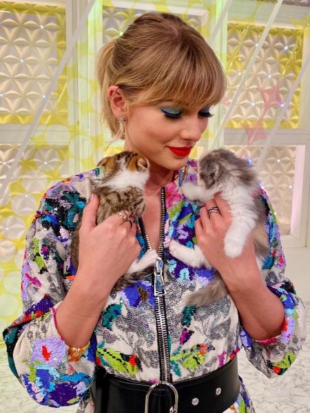 Taylor Swift com gatinhos no Japão - Reprodução/Instagram