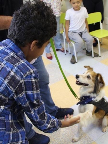 Paciente do Hospital Criança Conceição (RS) participando de pet terapia com o cão Buzz - Arquivo pessoal