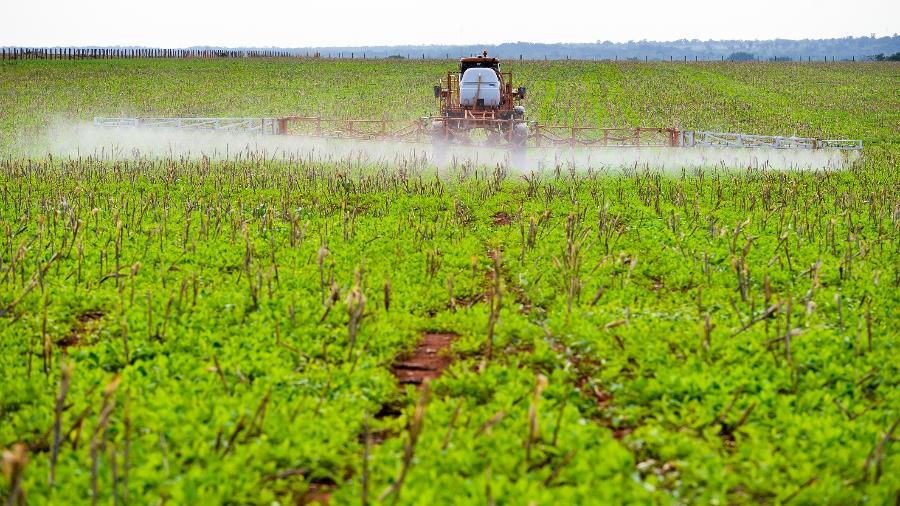 O projeto, que agora vai para o Senado, fixa prazo para a obtenção de registro de agrotóxicos no Brasil, - Getty Images
