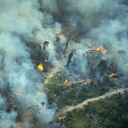 Incêndio florestal em área desmatada em floresta pública não designada em Altamira, no Pará, em 31 de julho de 2021 - Christian Braga/Greenpeace