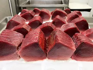 Suga colesterol no sangue, mantém músculos: os benefícios do atum à saúde