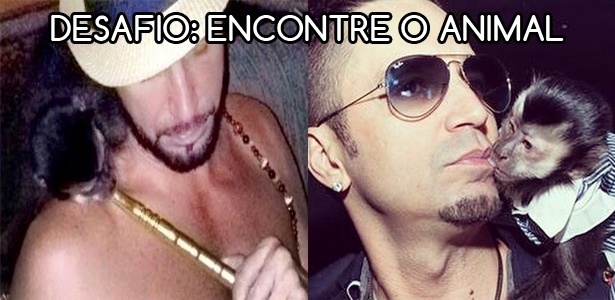 Montagem/Diva Depressão